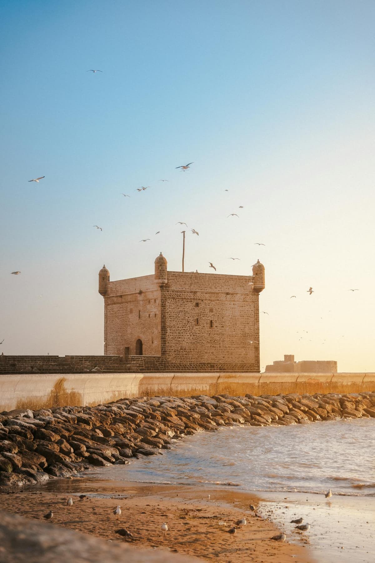 Essaouira day trip